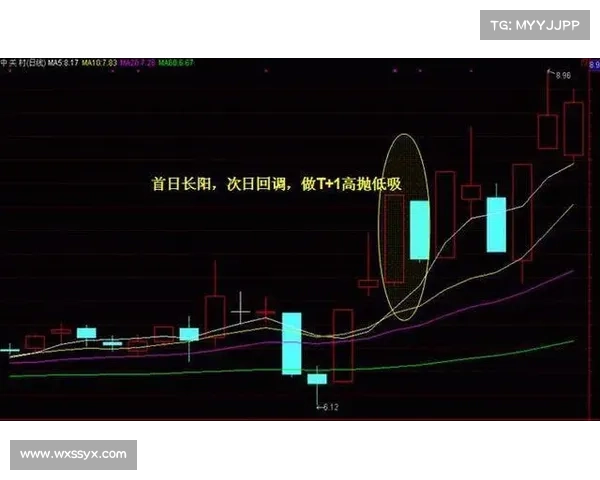 瑶光滩深藏的古老秘密揭秘 揭开神秘面纱背后的历史真相 瑶光滩深藏的古老秘密揭秘 揭开神秘面纱背后的历史真相