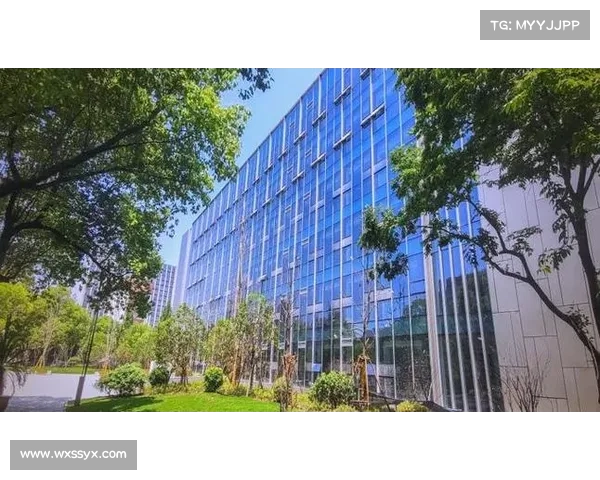 全面盘点葡萄牙足球俱乐部代表性球队名单与特色解析全景综述指南