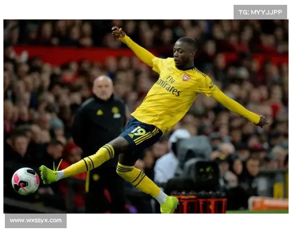 围绕法甲冠军标志含义解析的全面历史文化知识深度讲解标题精要篇